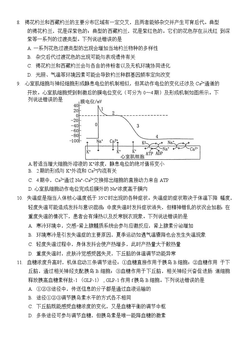 山东省烟台市2024-2025学年度第一学期期末学业水平诊断高三生物试题及答案第3页