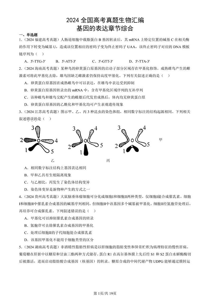 2024全国高考真题生物汇编:基因的表达章节综合第1页