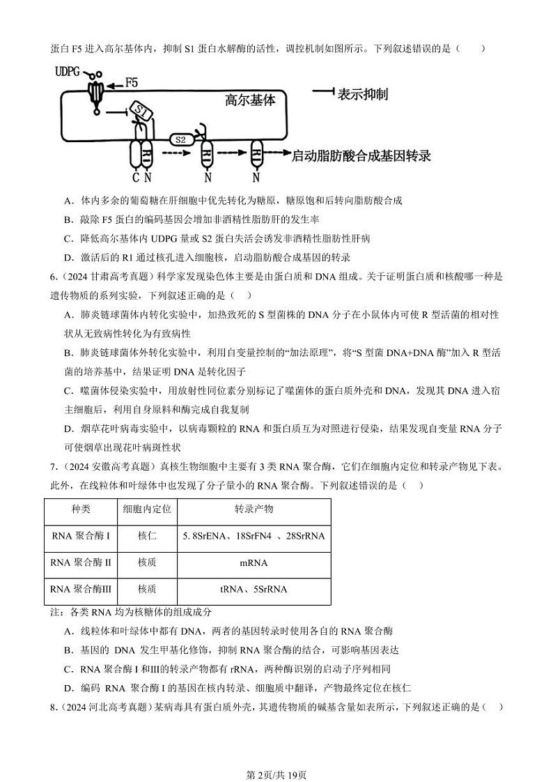 2024全国高考真题生物汇编:基因的表达章节综合第2页