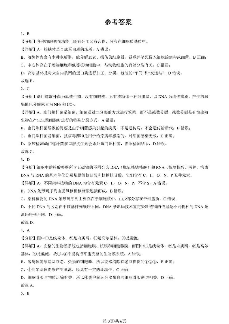 2022-2024全国高考真题生物汇编:走近细胞章节综合第3页