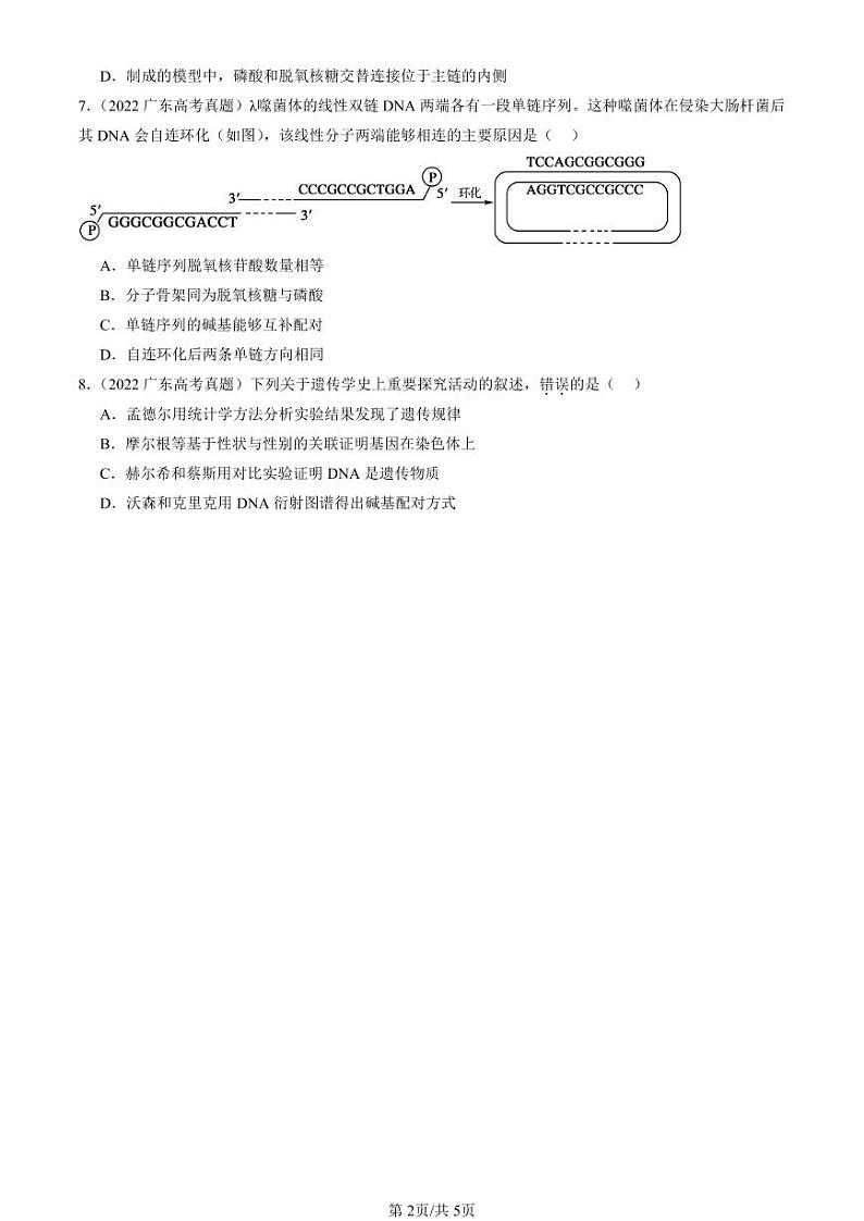 2022-2024全国高考真题生物汇编:DNA的结构第2页