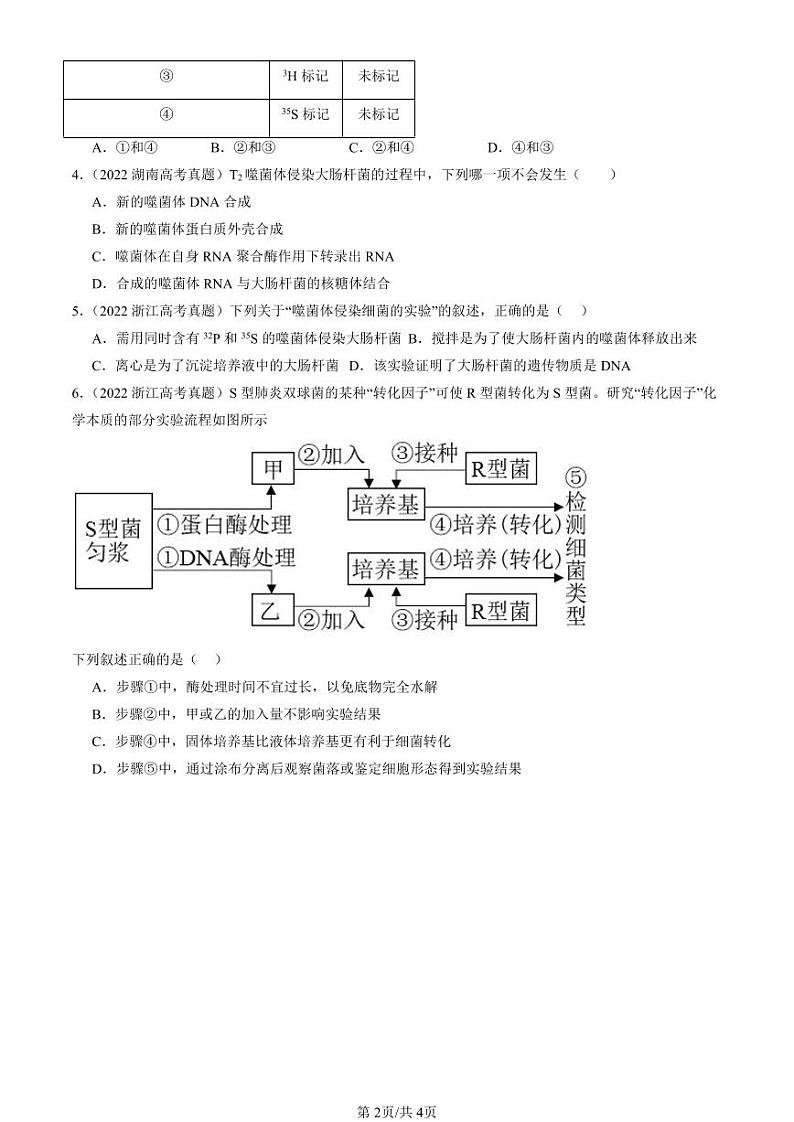 2022-2024全国高考真题生物汇编:DNA是主要的遗传物质第2页