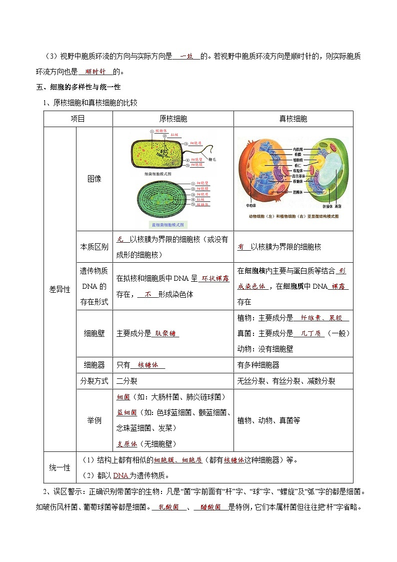 题型2 细胞的结构与功能观(核心知识)(解析版)第3页