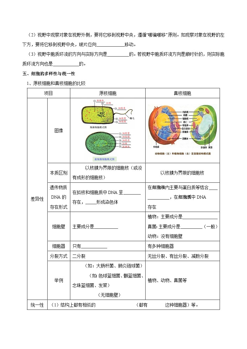 题型2 细胞的结构与功能观(核心知识)(原卷版)第3页