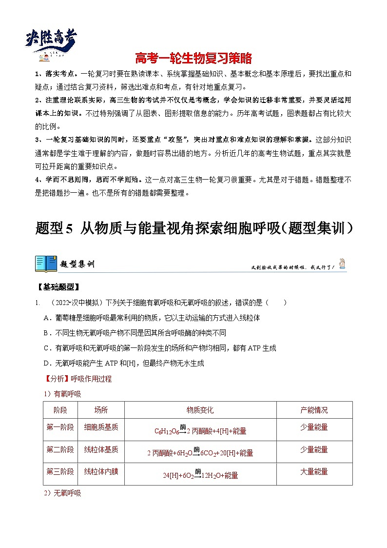 题型5 从物质与能量视角探索细胞呼吸(题型集训)(解析版)第1页