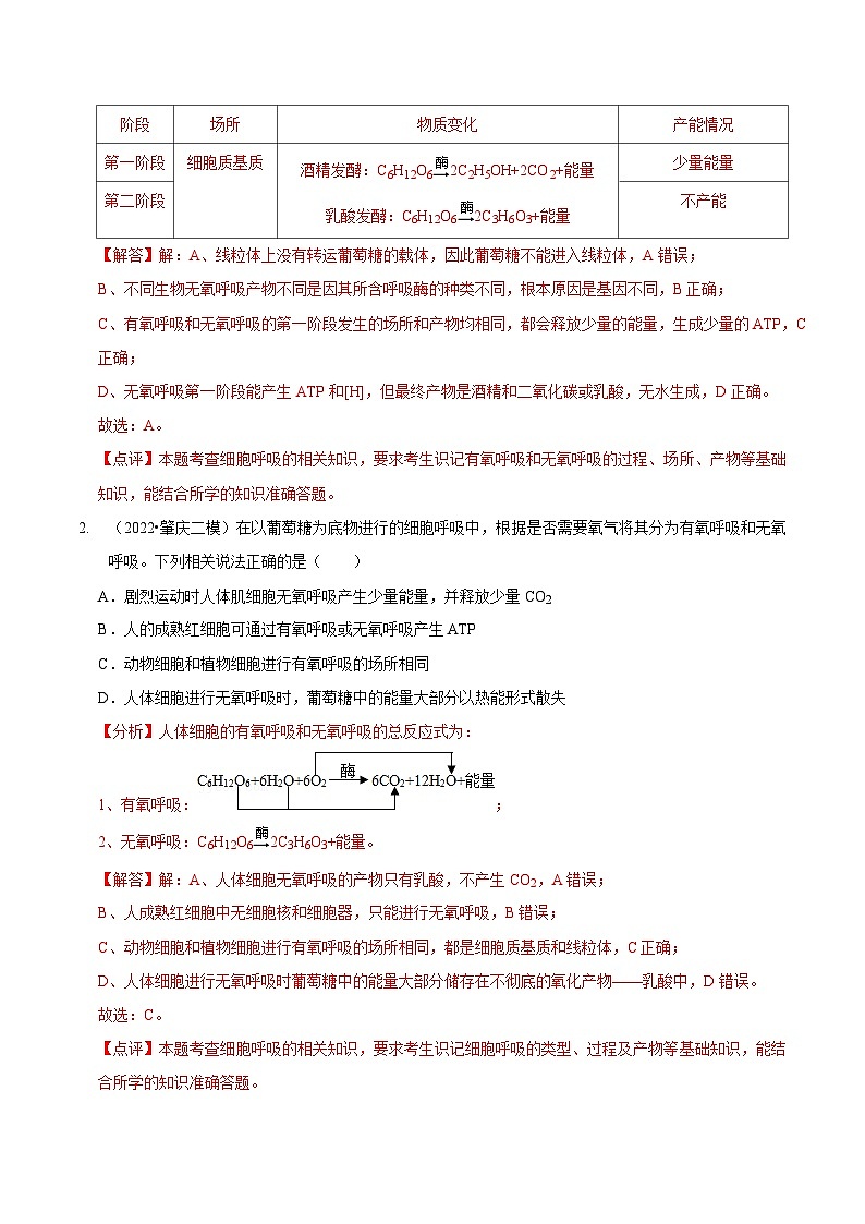 题型5 从物质与能量视角探索细胞呼吸(题型集训)(解析版)第2页