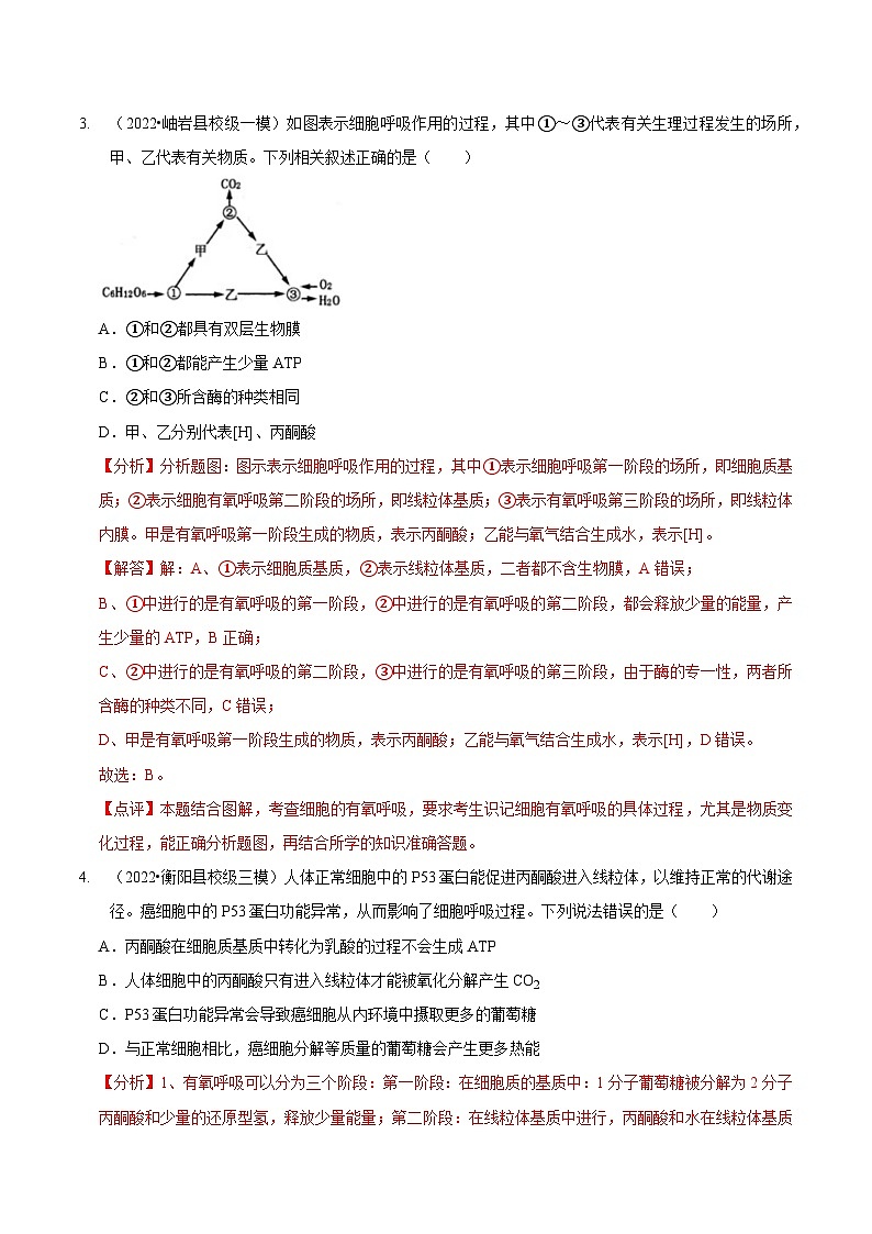 题型5 从物质与能量视角探索细胞呼吸(题型集训)(解析版)第3页