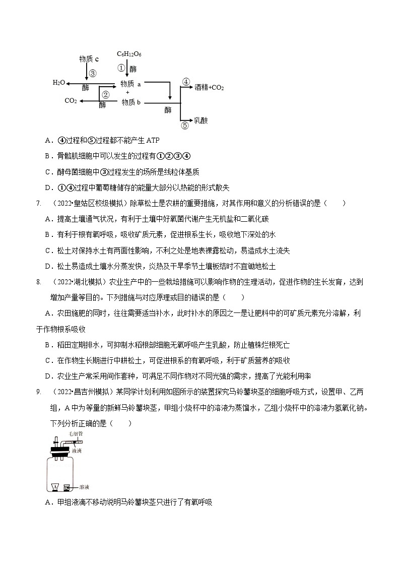 题型5 从物质与能量视角探索细胞呼吸(题型集训)(原卷版)第3页