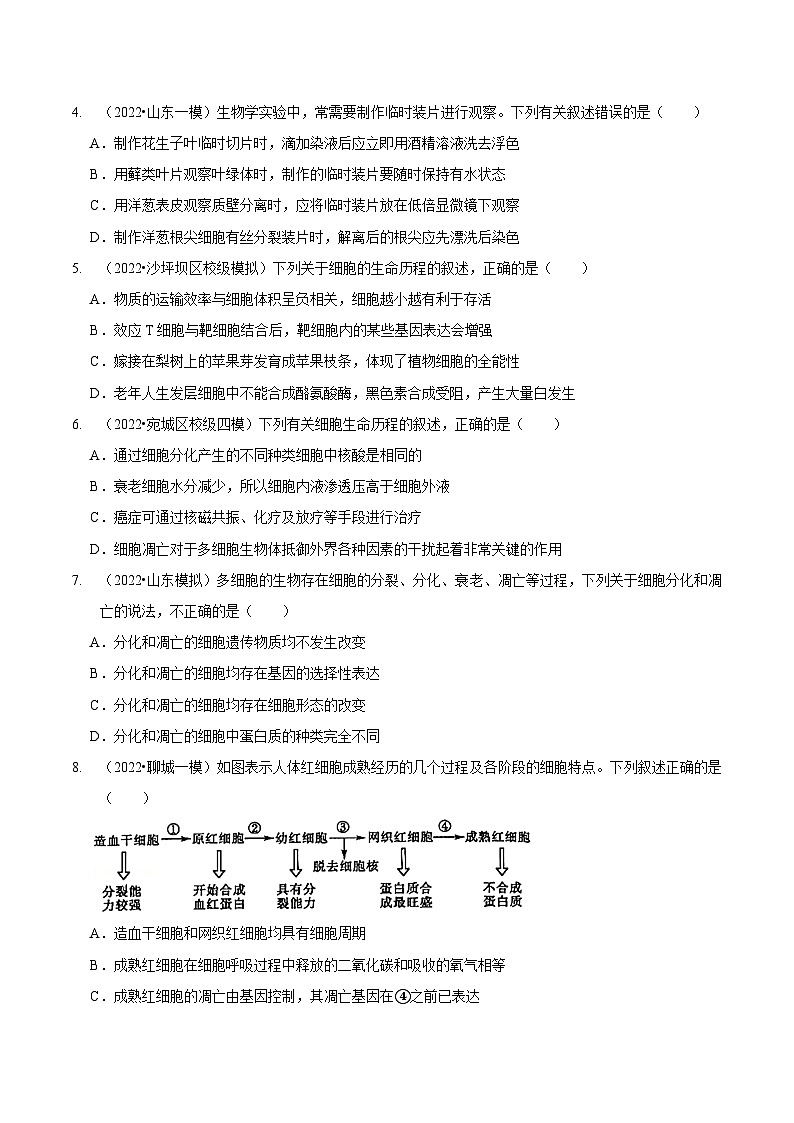 题型8 细胞生命历程的易错辨析(题型集训)(原卷版)第2页