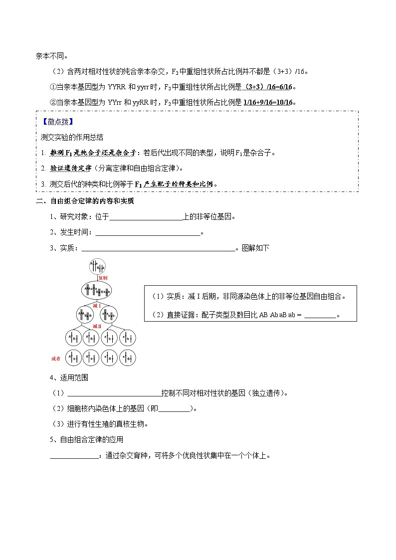 题型12 基因的自由组合定律(核心知识)-【技巧点拨】备战2023年高考生物二轮题型复习讲解(原卷版)第3页