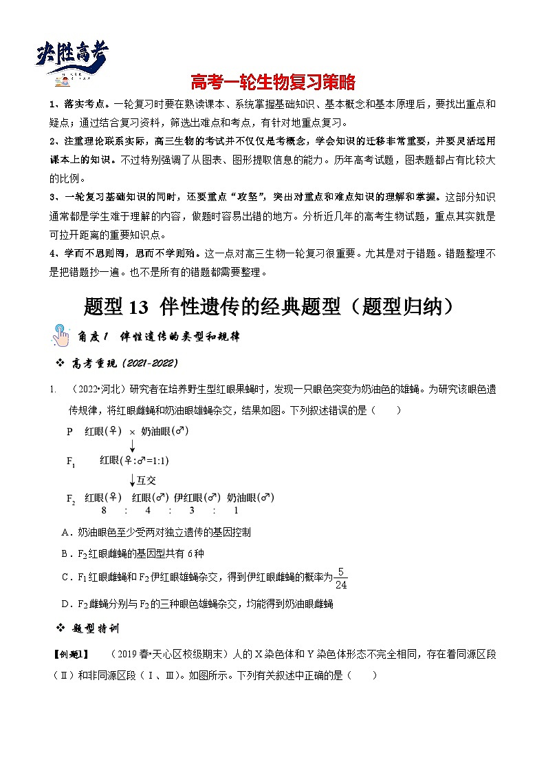 题型13 伴性遗传的经典题型(题型归纳)(原卷版)第1页