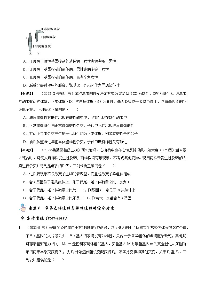 题型13 伴性遗传的经典题型(题型归纳)(原卷版)第2页