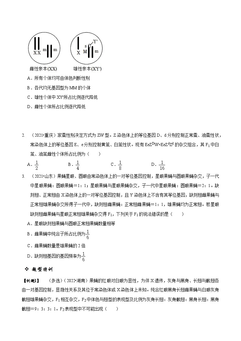 题型13 伴性遗传的经典题型(题型归纳)(原卷版)第3页