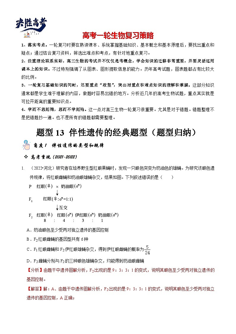 题型13 伴性遗传的经典题型(题型归纳)(解析版)第1页