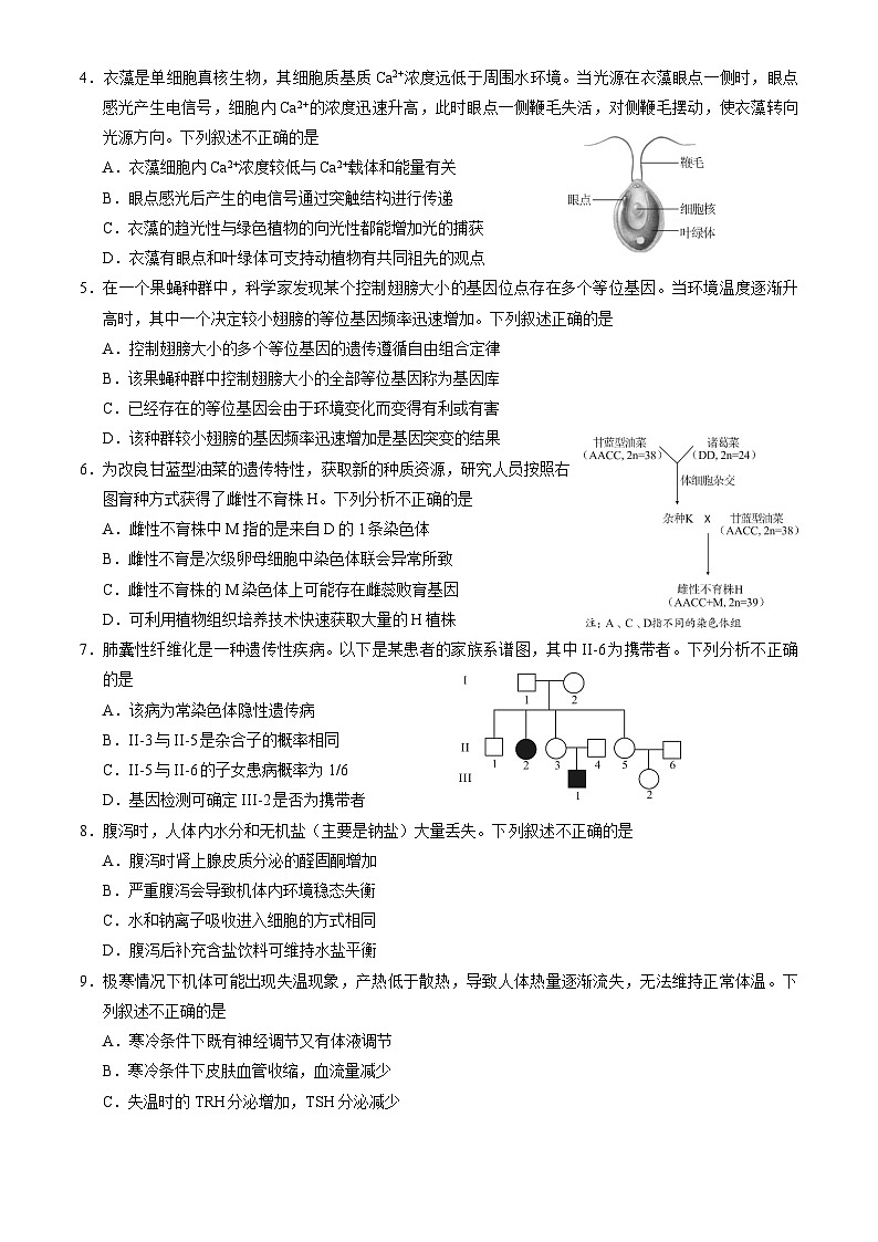 北京市丰台区2024-2025学年高三上学期期末考试生物试卷(含答案)第2页