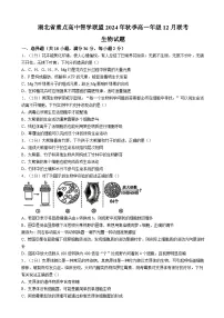 湖北省重点高中智学联盟2024-2025学年高一上学期12月月考生物试题（含答案）