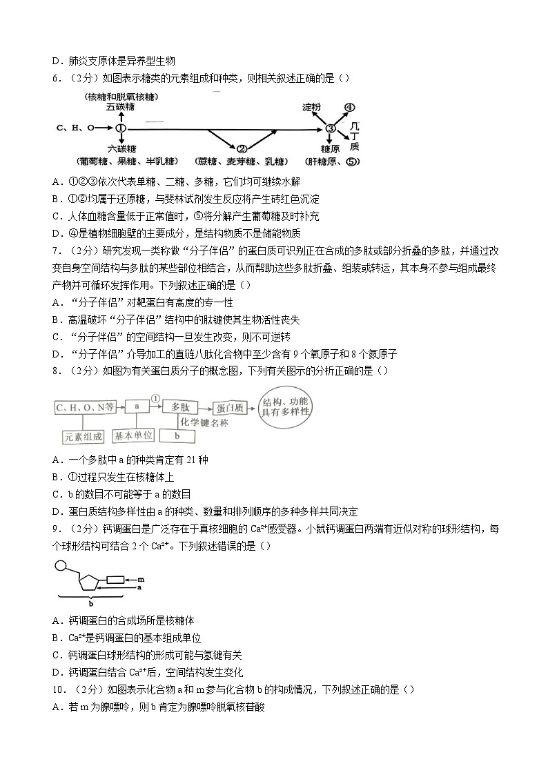 湖北省重点高中智学联盟2024-2025学年高一上学期12月月考生物试题(含答案)第2页