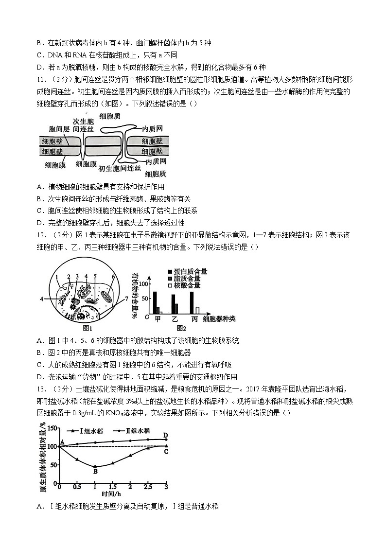 湖北省重点高中智学联盟2024-2025学年高一上学期12月月考生物试题(含答案)第3页
