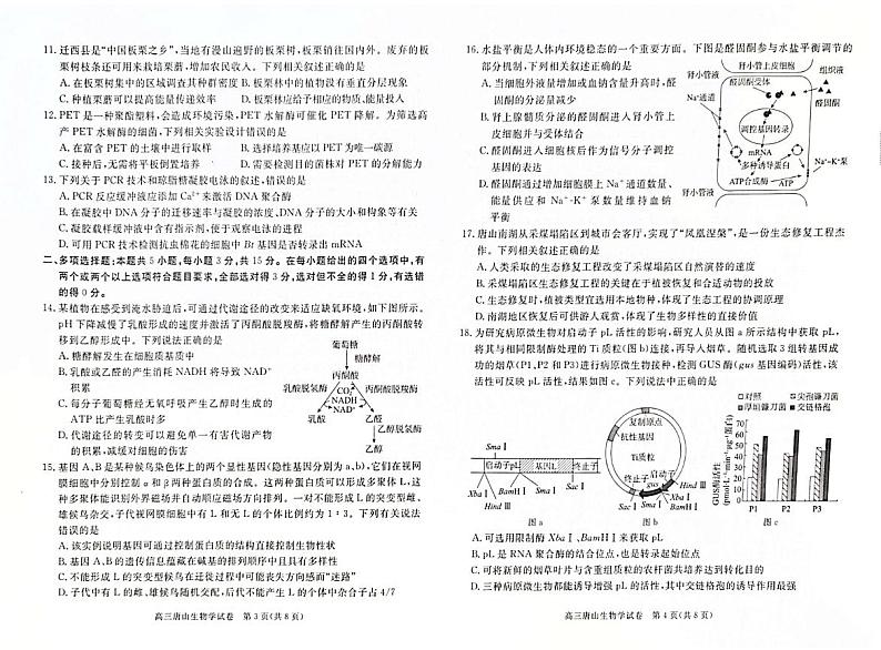 河北省唐山市2025届高三上学期1月期末考-生物试题+答案第2页