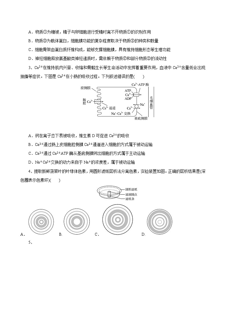 湖北省随州市2025届高三上学期1月期末联考生物试卷(Word版附解析)第2页