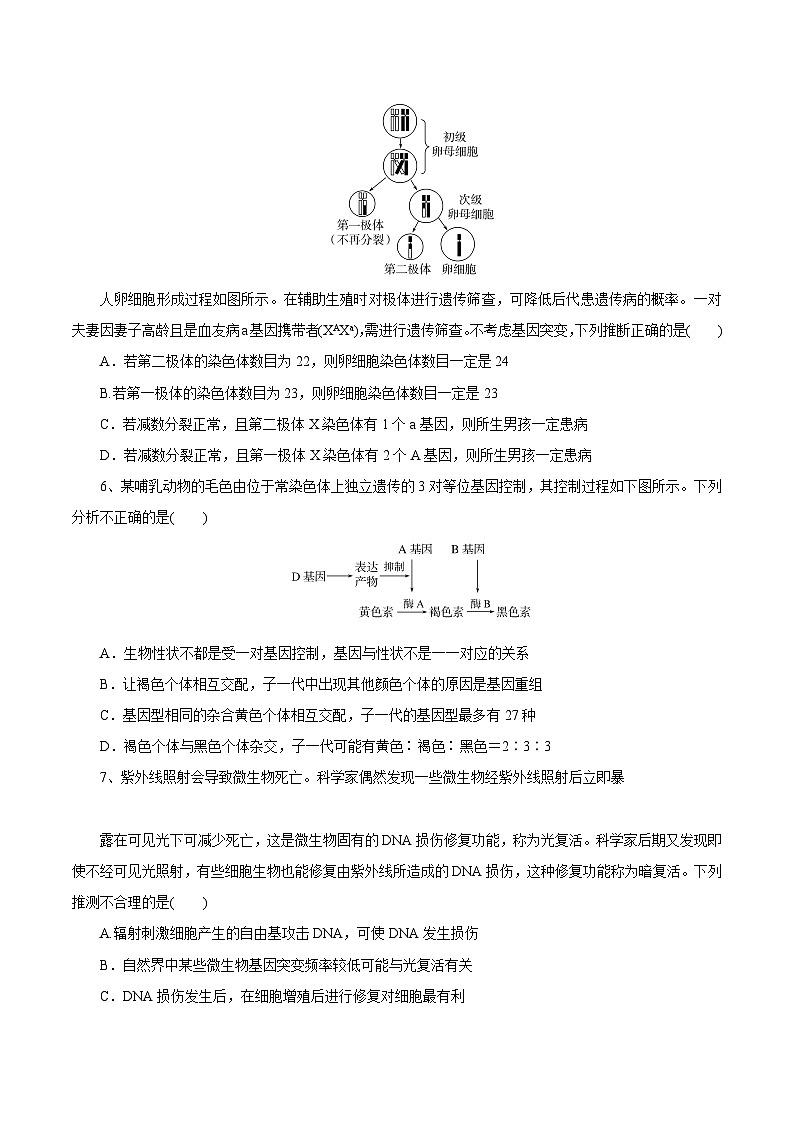 湖北省随州市2025届高三上学期1月期末联考生物试卷(Word版附解析)第3页