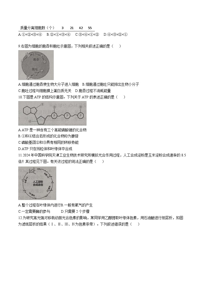 天津市部分区2024-2025学年高一上学期期末练习生物试卷(Word版附答案)第2页