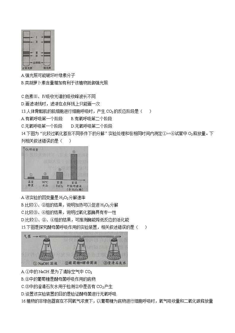 天津市部分区2024-2025学年高一上学期期末练习生物试卷(Word版附答案)第3页