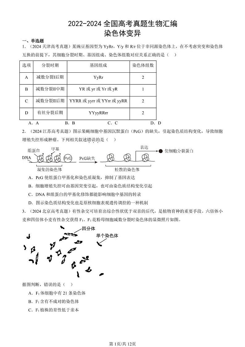 2022-2024全国高考真题生物汇编:染色体变异第1页