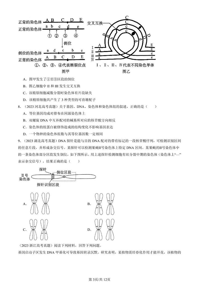 2022-2024全国高考真题生物汇编:染色体变异第3页