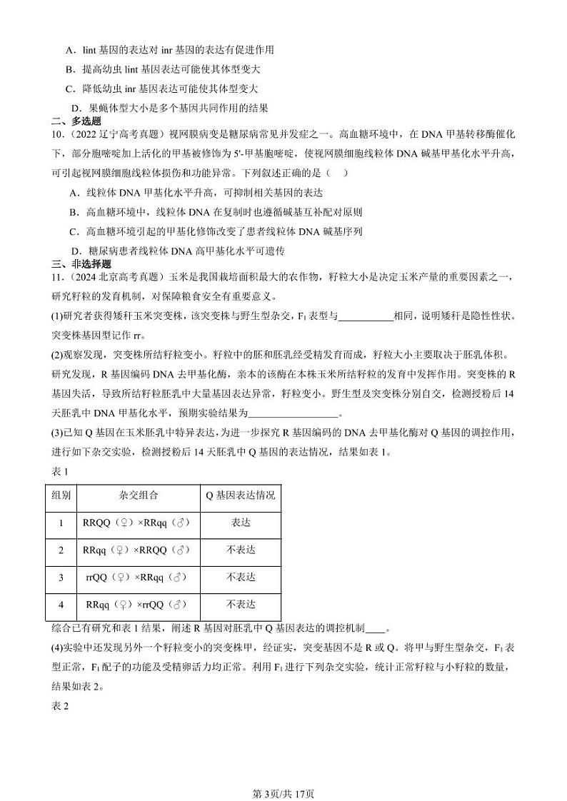 2022-2024全国高考真题生物汇编:基因的表达与性状关系第3页