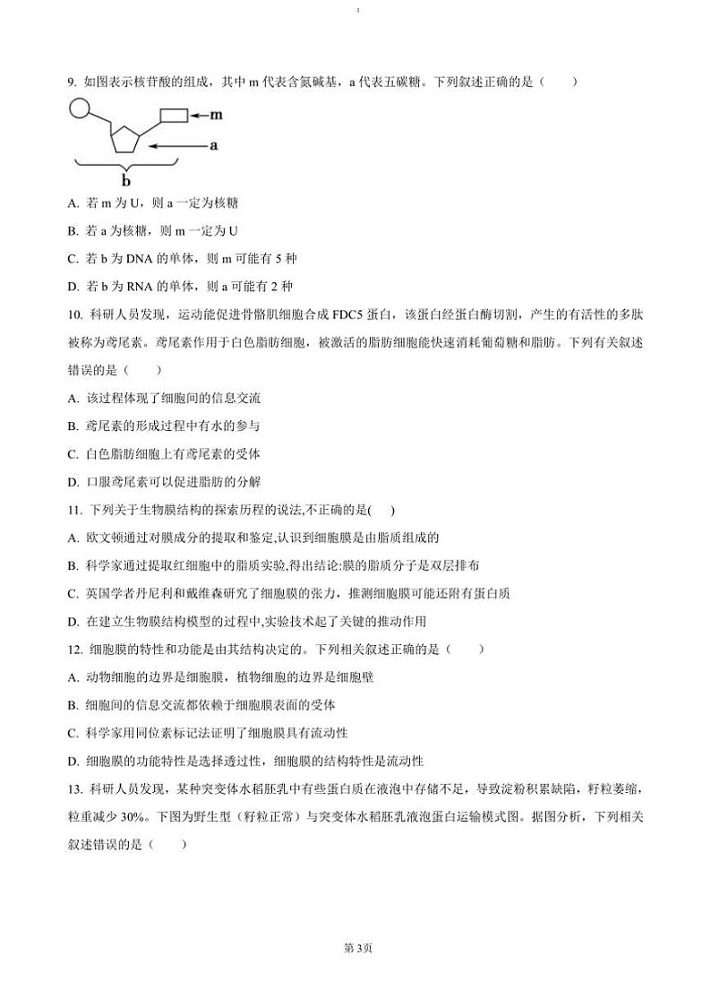 2024~2025学年黑龙江省哈尔滨市第六中学高一上12月月考生物试卷(含答案)第3页