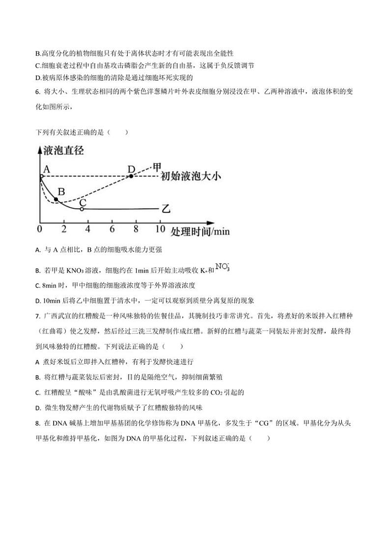 2025届吉林省通化市梅河口市第五中学高三上期末考试生物试卷(含答案)第2页
