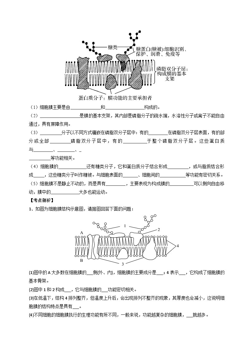 (人教版)2025年高一生物寒假衔接讲练 (复习)第02讲 细胞膜的成分、结构、功能和物质出入细胞(原卷版)第3页