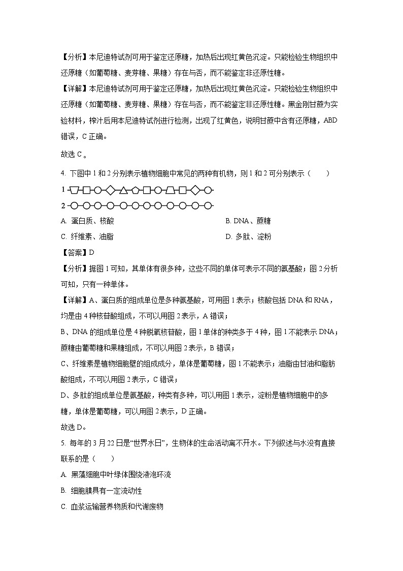 2024~2025学年浙江省杭州地区(含周边)重点中学高一上11月期中卷生物试卷(解析版)第2页