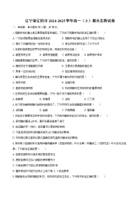 辽宁省辽阳市2024-2025学年高一（上）期末生物试卷