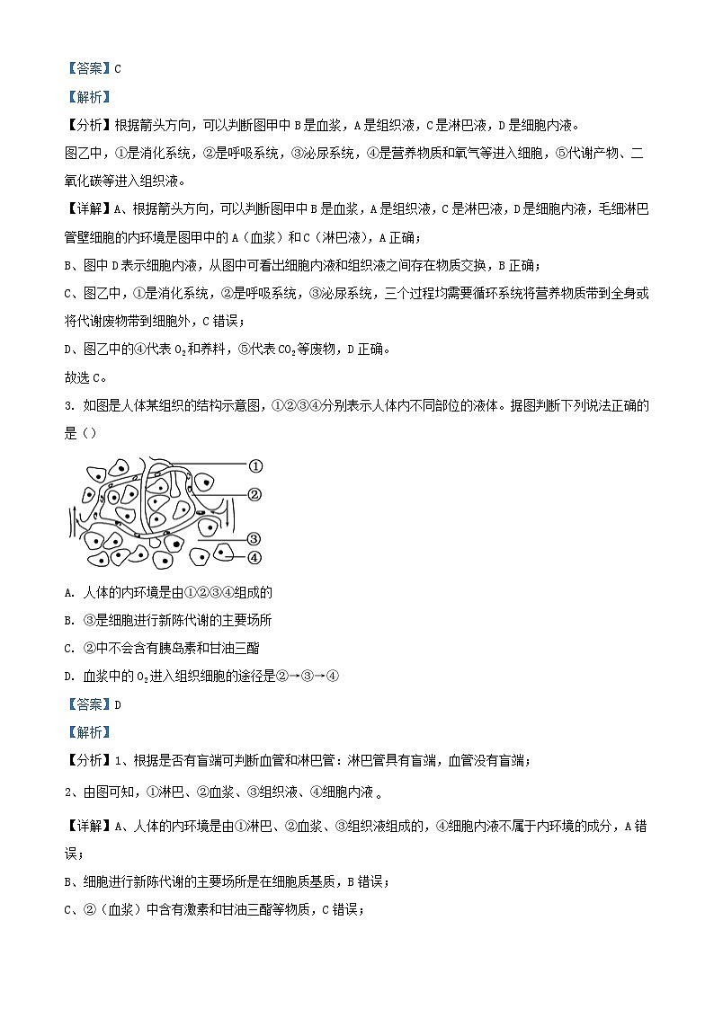 四川省成都市2023_2024学年高二生物上学期期中试题含解析第2页