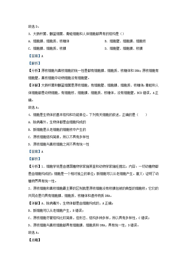 四川省成都市2023_2024学年高一生物上学期期中试题1含解析第2页