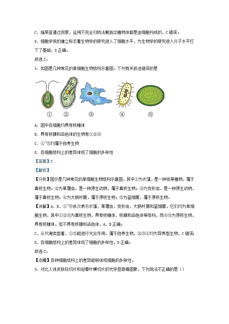 四川省达州市2023_2024学年高一生物上学期12月月考试题含解析第3页
