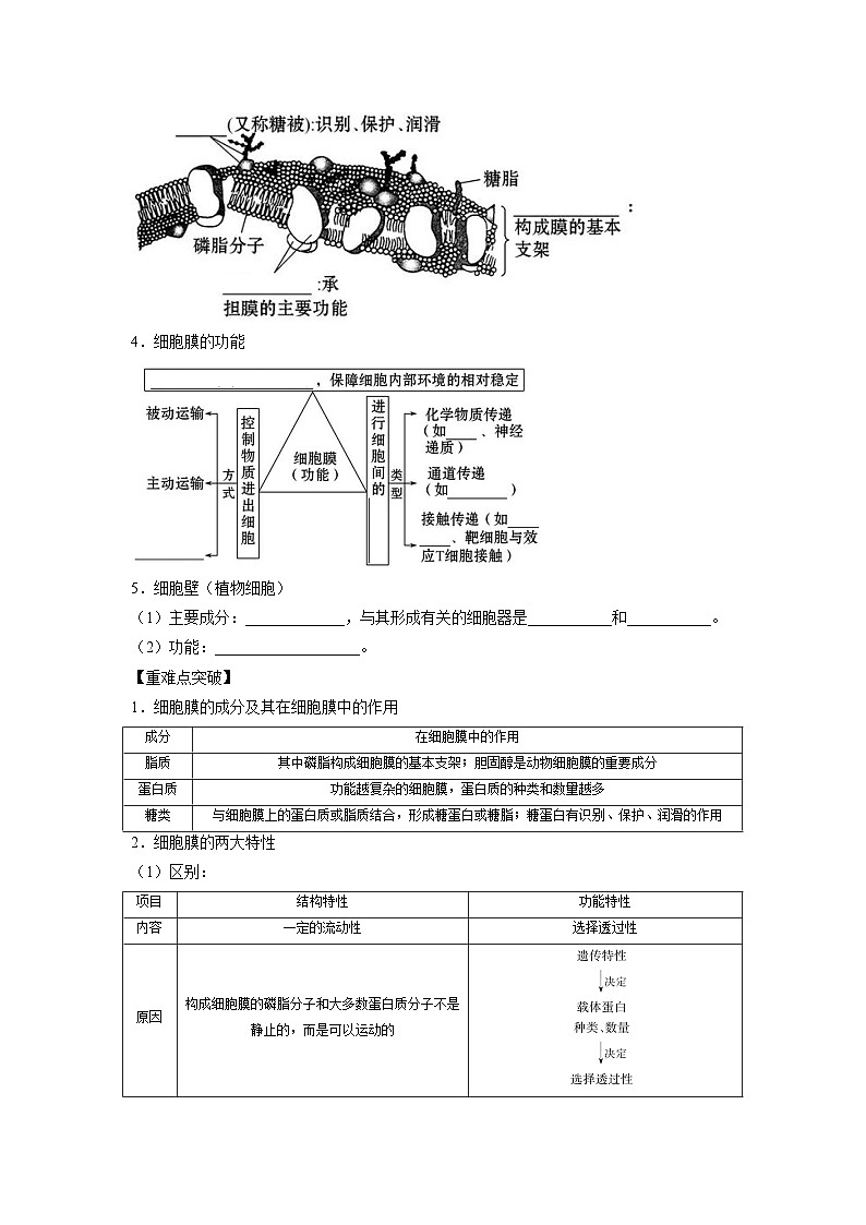 专题04 细胞膜与细胞核(教师版)第2页