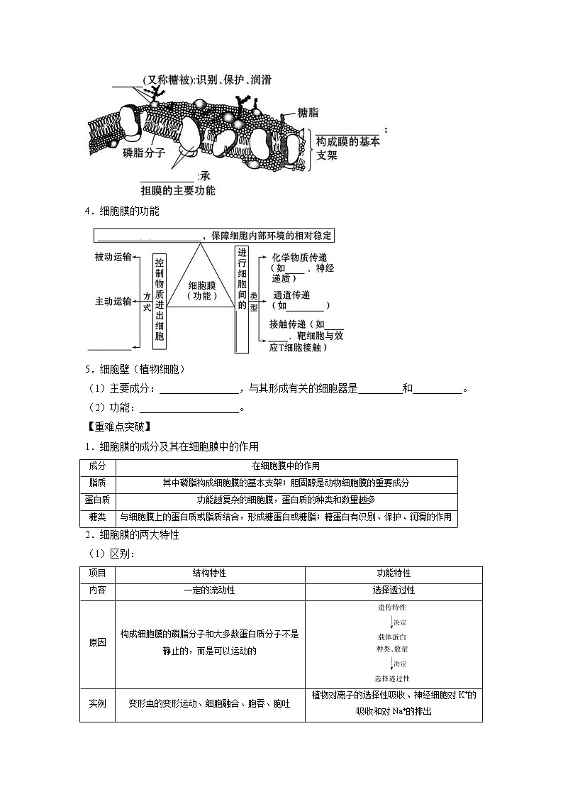 专题04 细胞膜与细胞核(学生版)第2页