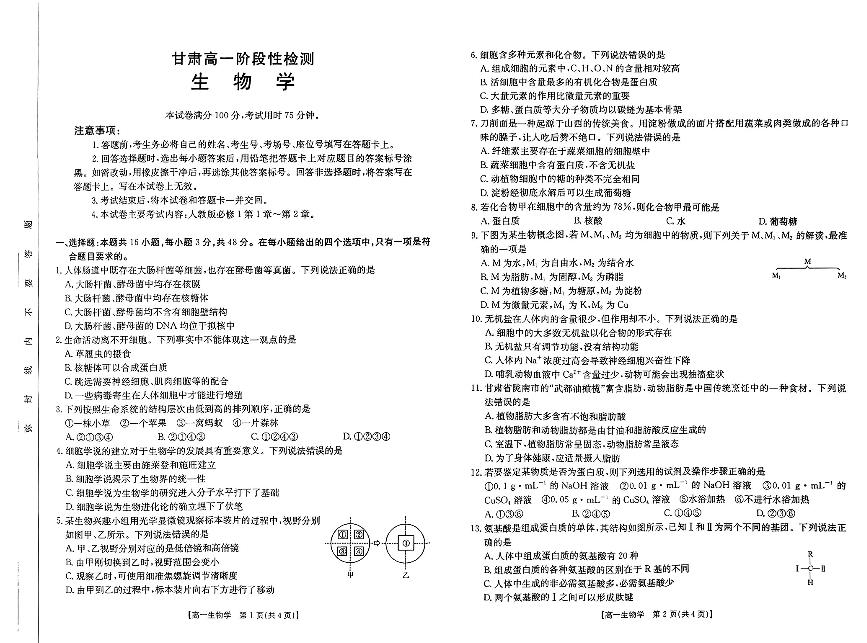 甘肃省陇南市2024-2025学年高一上学期期中考试生物试题