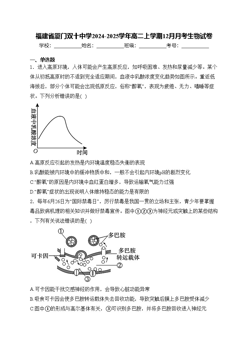 福建省厦门双十中学2024-2025学年高二上学期12月月考生物试卷(含答案)第1页