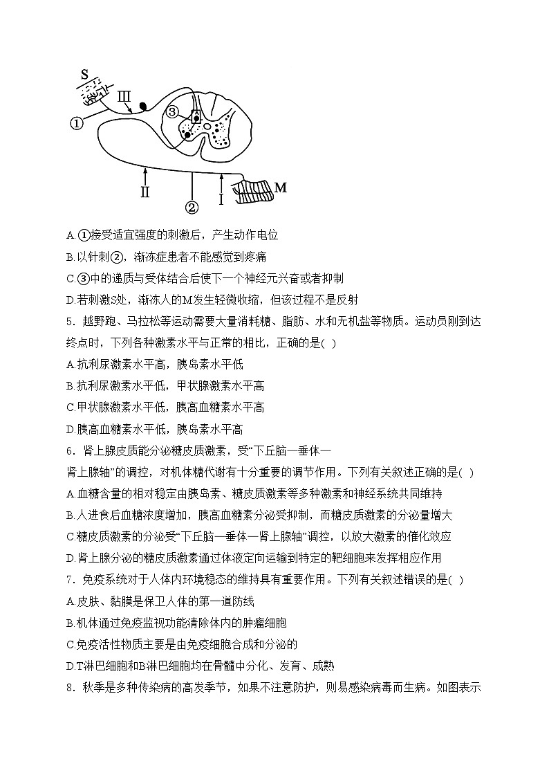 韩城市象山中学2024-2025学年高二上学期第三次月考生物试卷(含答案)第2页