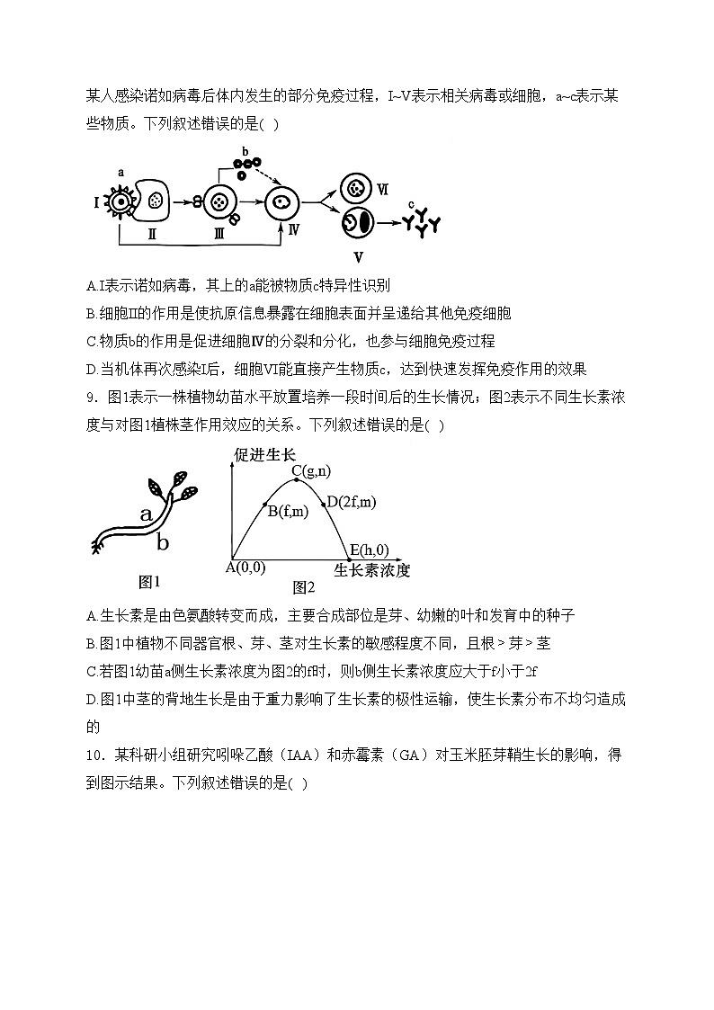 韩城市象山中学2024-2025学年高二上学期第三次月考生物试卷(含答案)第3页