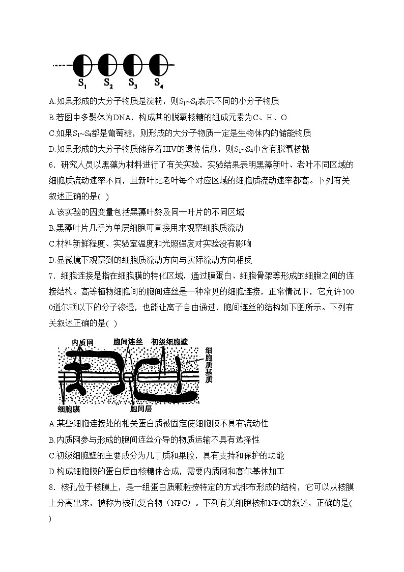 辽宁省锦州市某校2024-2025学年高一上学期期末质量检测生物试卷(含答案)第2页