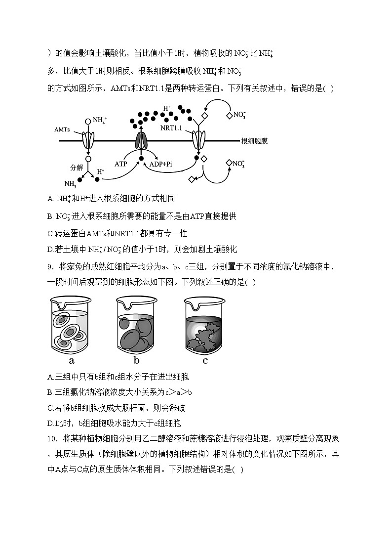 涉县第一中学2024-2025学年高一上学期12月月考生物试卷(含答案)第3页