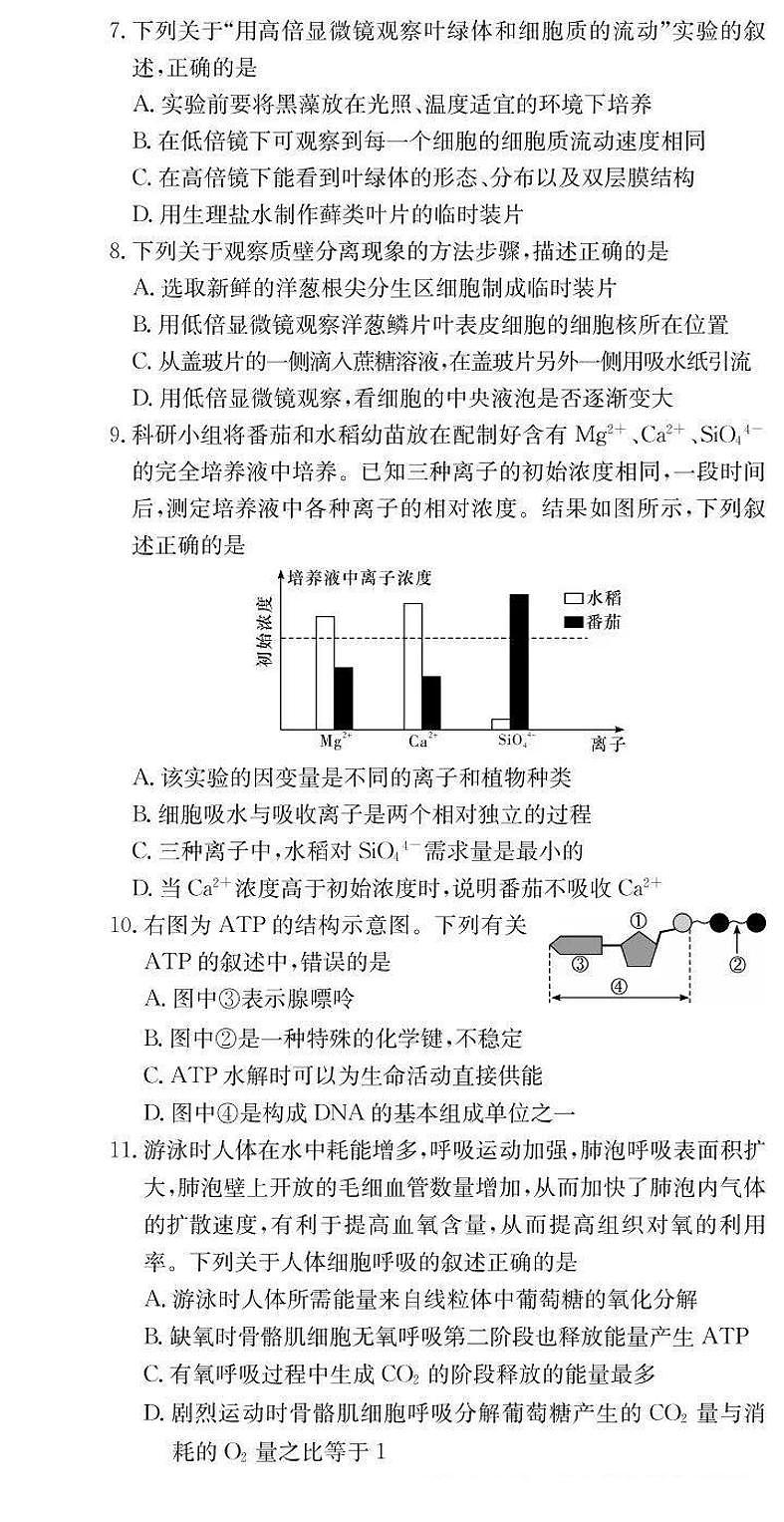 生物-湖南师大附中2024-2025学年高一上学期期末考试试题第2页