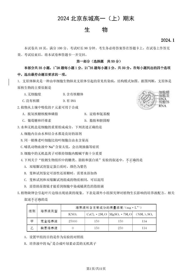 2024北京东城高一(上)期末生物试卷(有答案)第1页