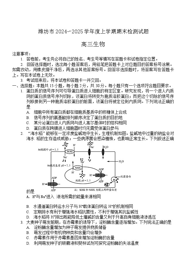 山东省潍坊市、临沂市、德州市2024-2025学年上学期期末检测 高三生物试题及答案第1页