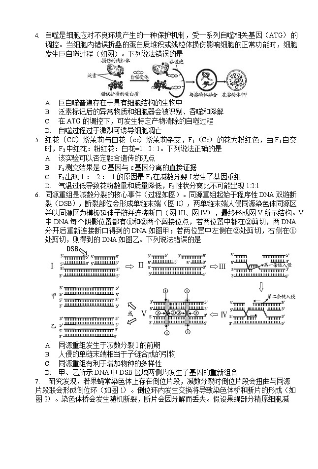 山东省潍坊市、临沂市、德州市2024-2025学年上学期期末检测 高三生物试题及答案第2页